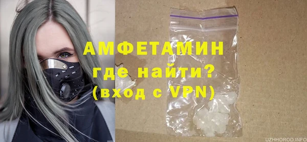 гашик Ельня