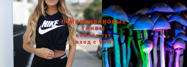 ГАЛЛЮЦИНОГЕННЫЕ ГРИБЫ Дмитров