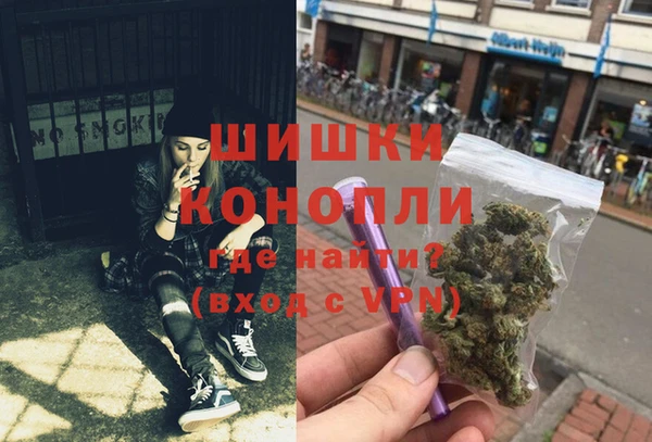 ГАЛЛЮЦИНОГЕННЫЕ ГРИБЫ Дмитров