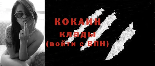 стаф Дмитровск