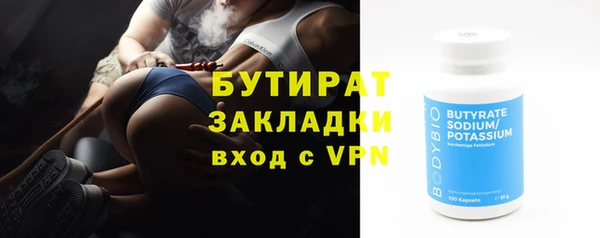 гашик Ельня