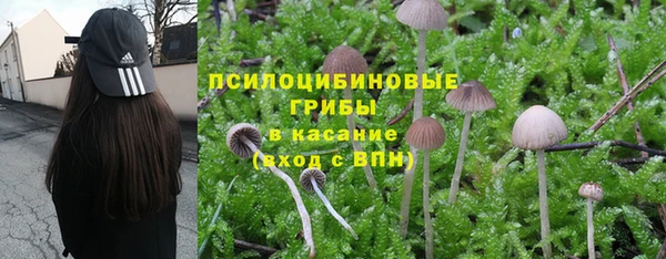 стаф Дмитровск
