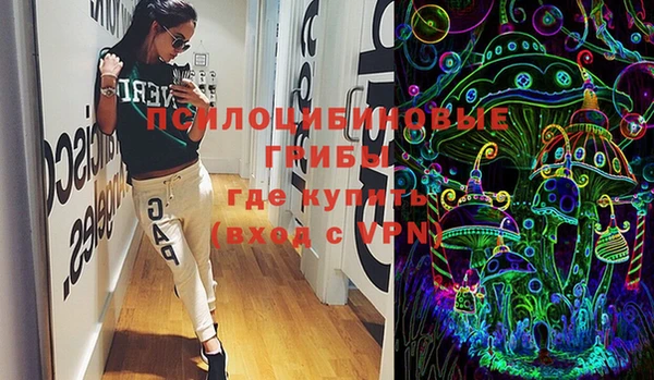 ГАЛЛЮЦИНОГЕННЫЕ ГРИБЫ Дмитров