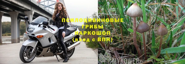 стаф Дмитровск