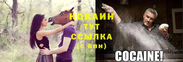 дживик Елабуга