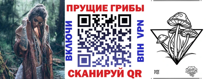 Купить закладки  Туран  Галлюциногенные грибы MAGIC MUSHROOMS 